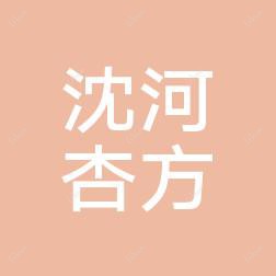 沈阳沈河杏方