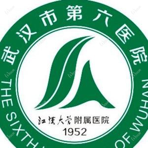 武汉市第六医院