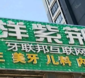 洋紫荆口腔